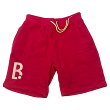Load image into Gallery viewer, * LIMITED EDITION* B Dot Logo Shorts
